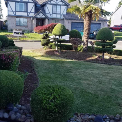 DN Landscaping